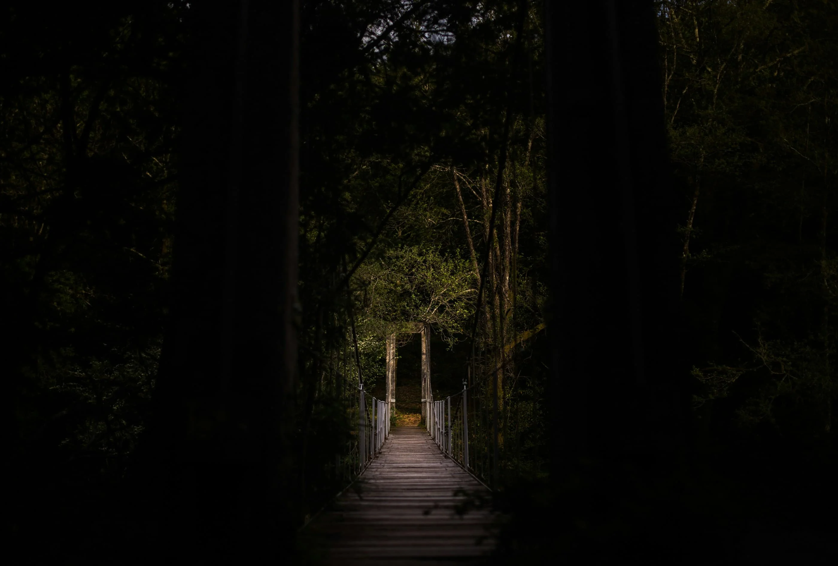 শিশির আজমের কবিতা