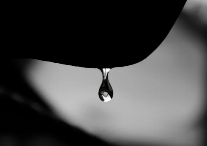 নুরুল হাসানের তিনটি কবিতা
