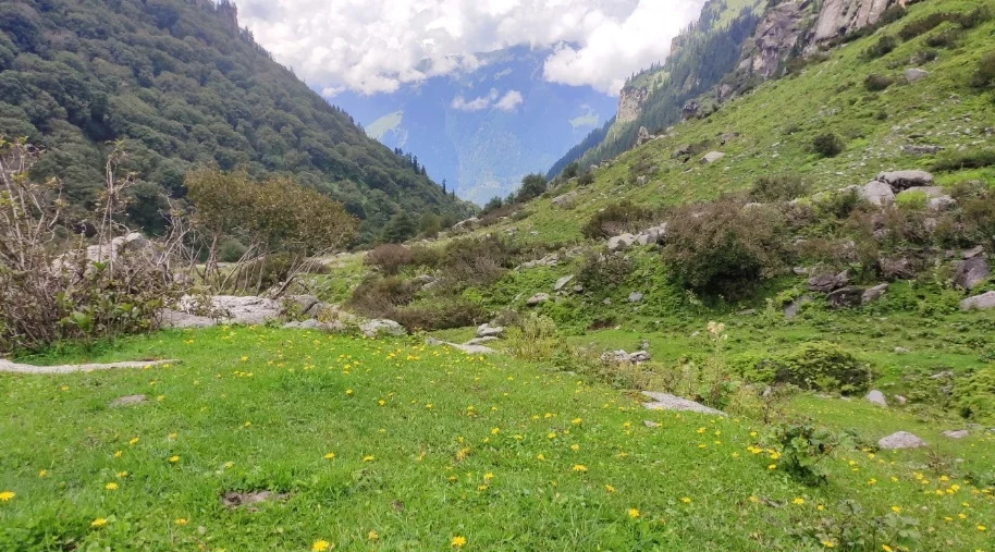 Screenshot 20261014 165051 Docs