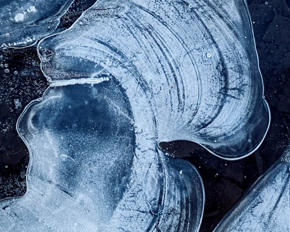 নষ্ট প্রলাপ