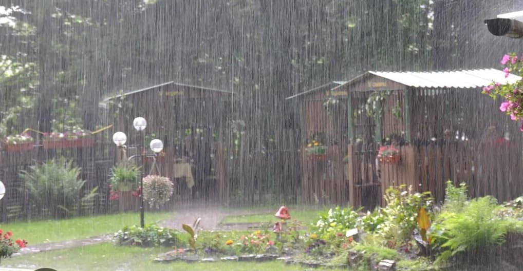 কবিতা লেখা যায়