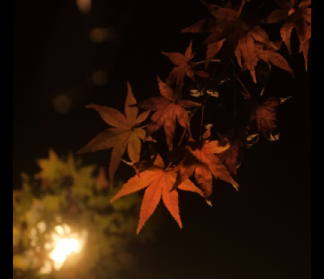 খরস্রোতা