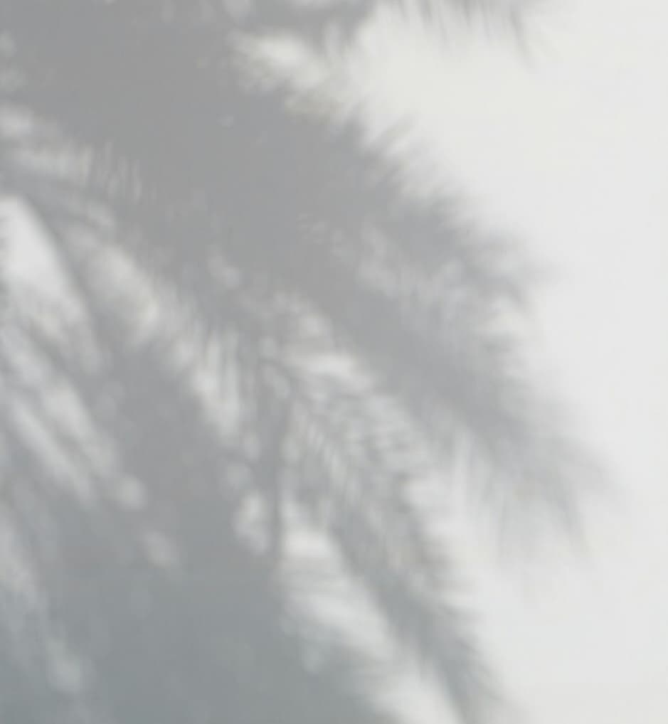 চারটি কবিতা