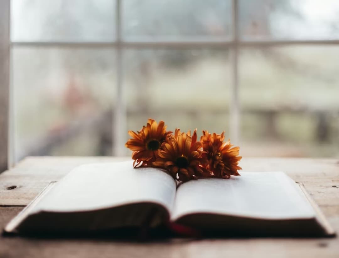 সম্পাদকীয়