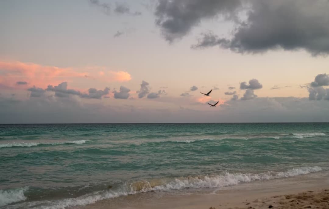 নীলাব্জ চক্রবর্তীর দুটি কবিতা