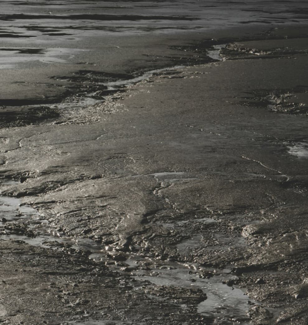 পাপজন্ম